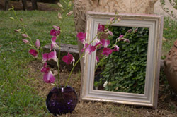 Click for Mirror Frame Detail